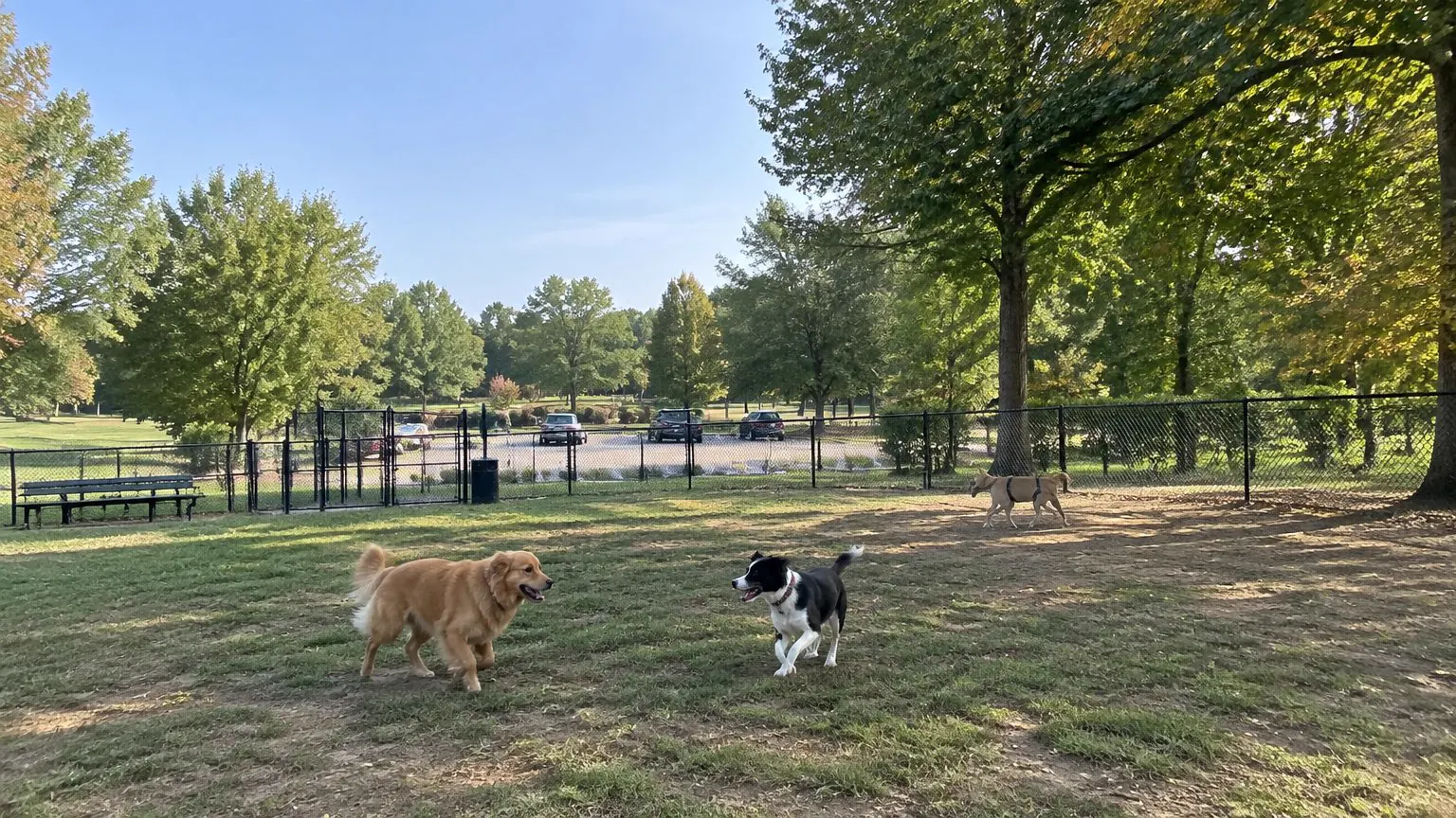 Hickory Grove Park Dog Park