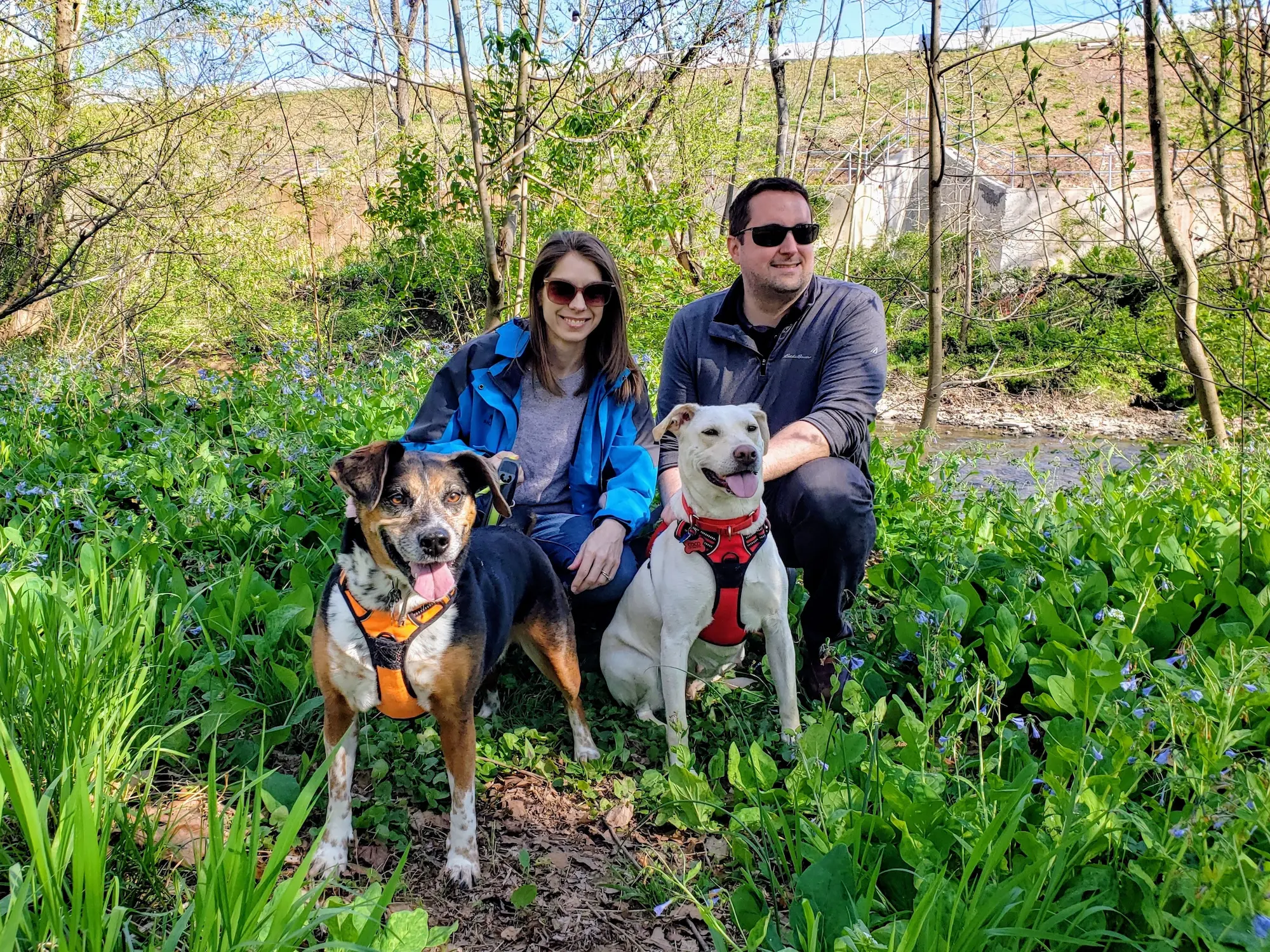 Kevin Bailey with Cannon and Cairo at a local park