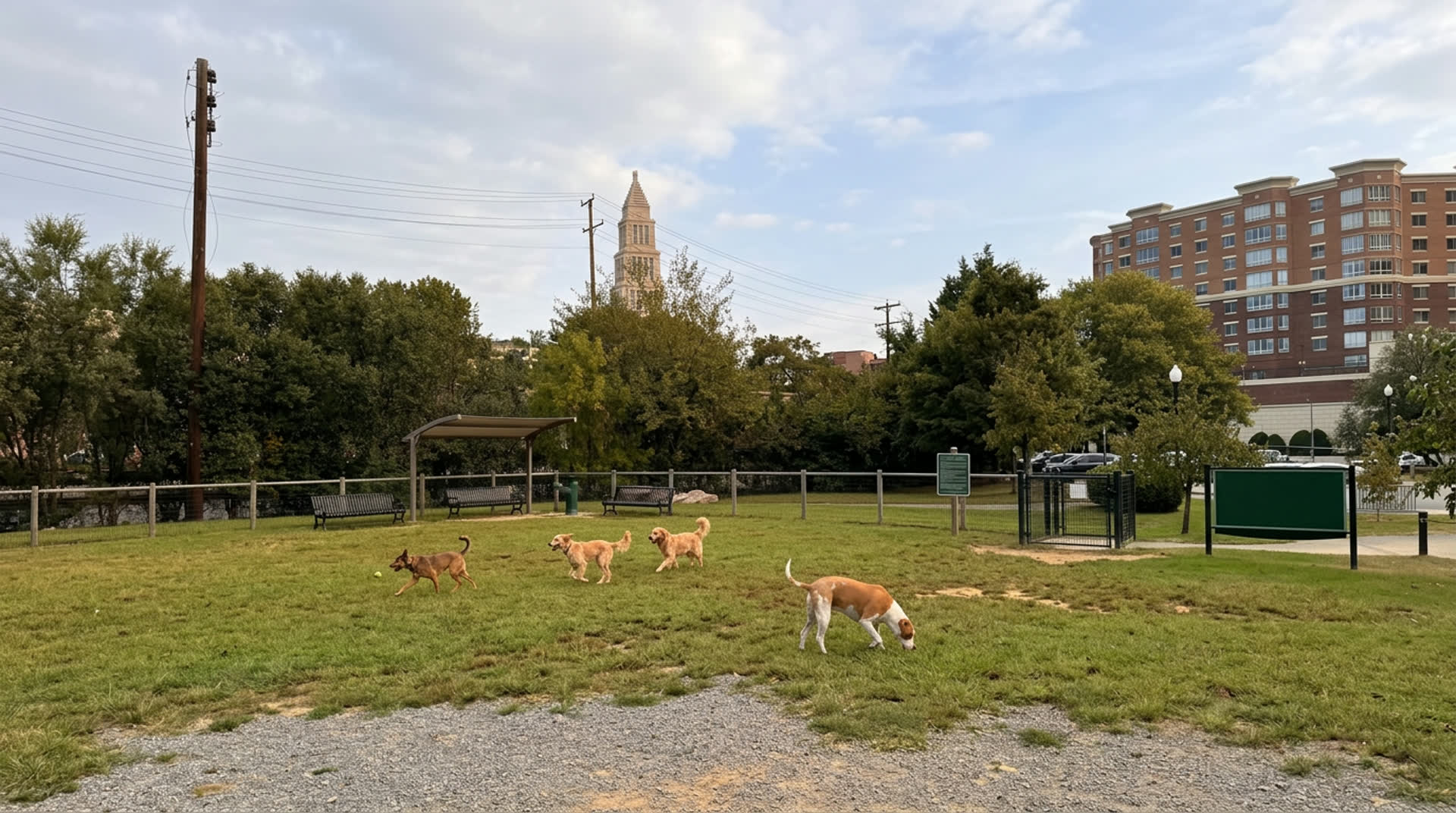 Dog Run Park at Carlyle