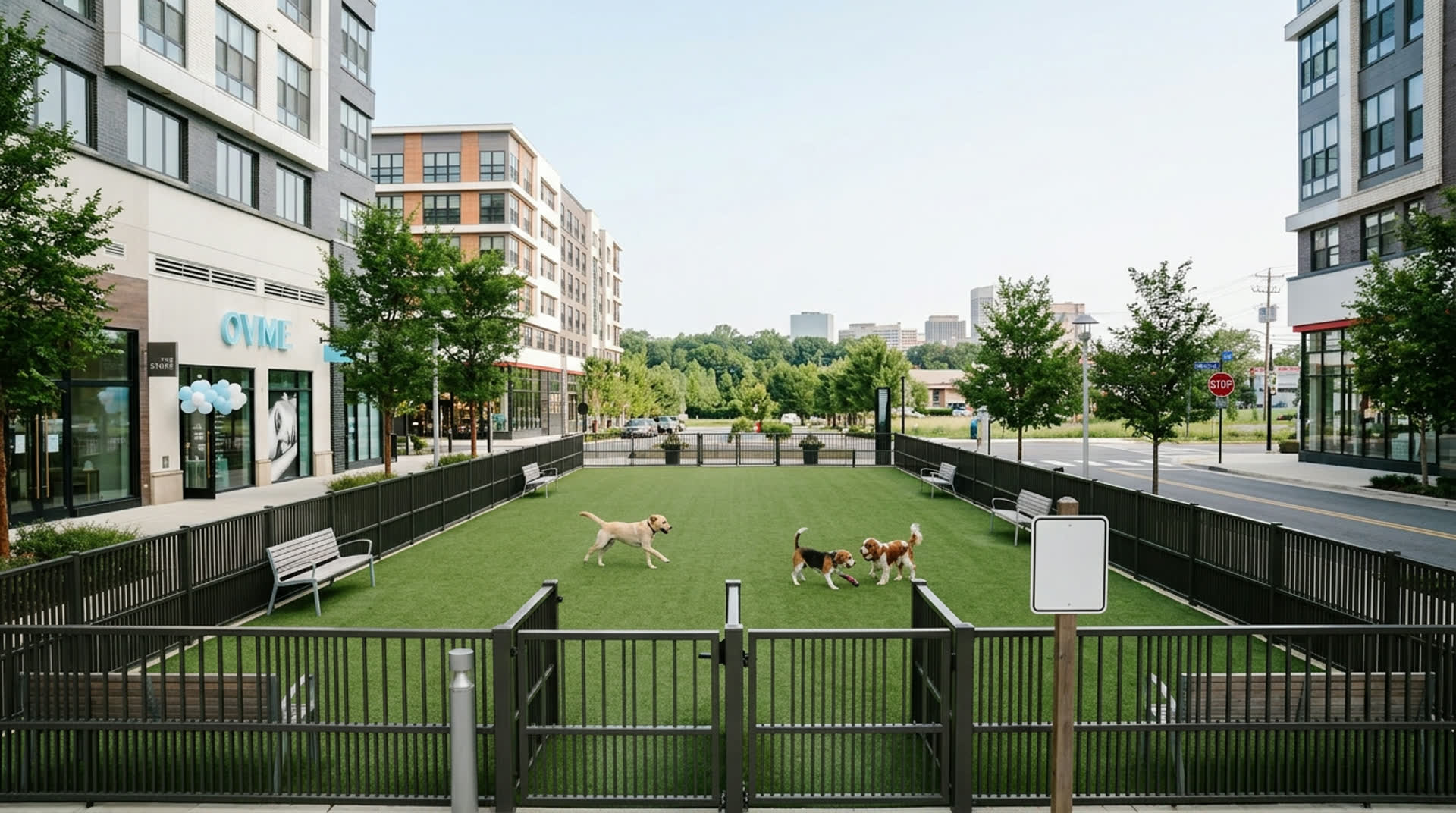 Mosaic District Dog Park